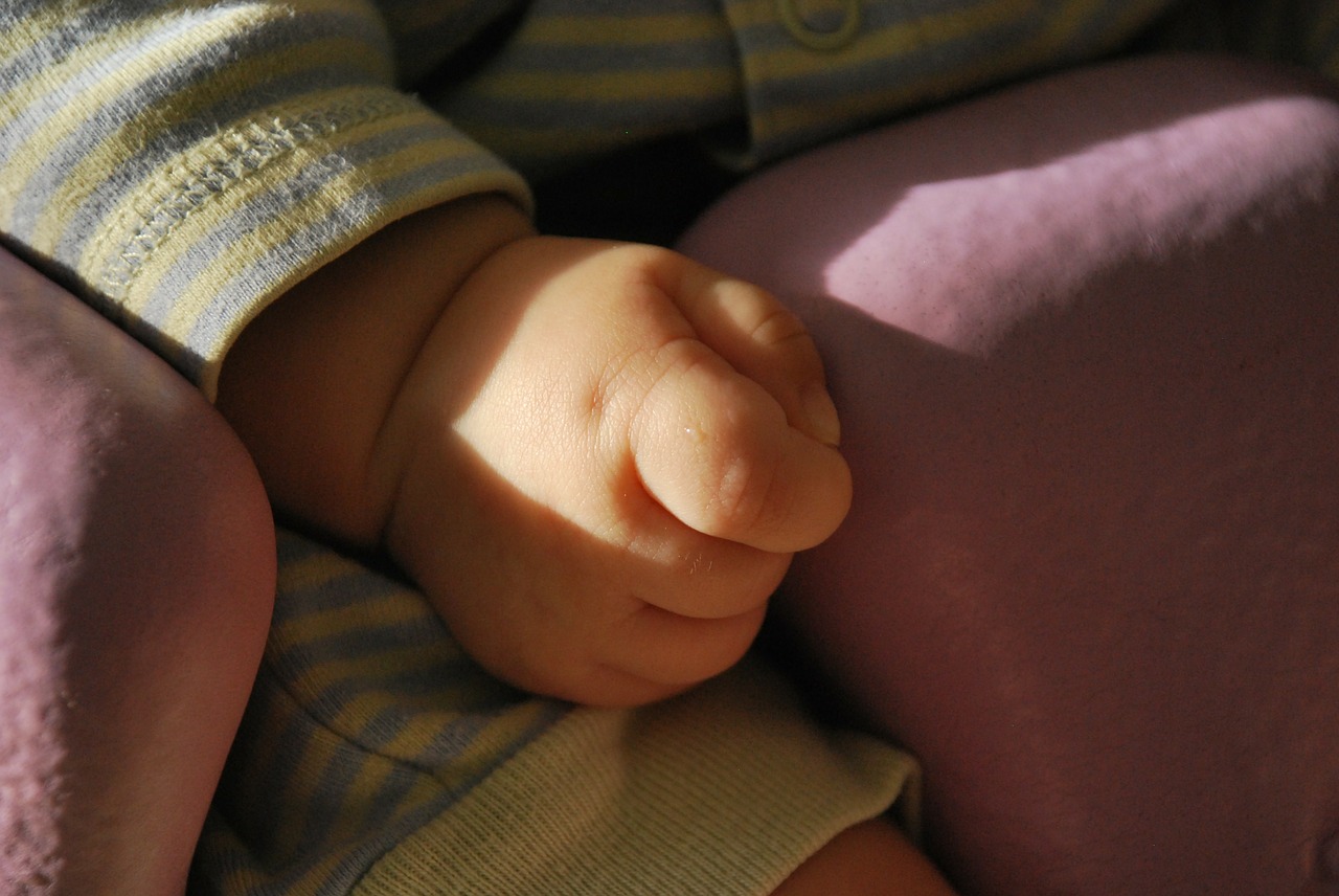 baby hand child free photo