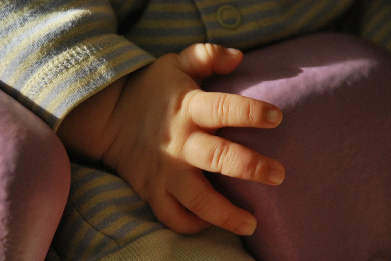 baby hand child free photo