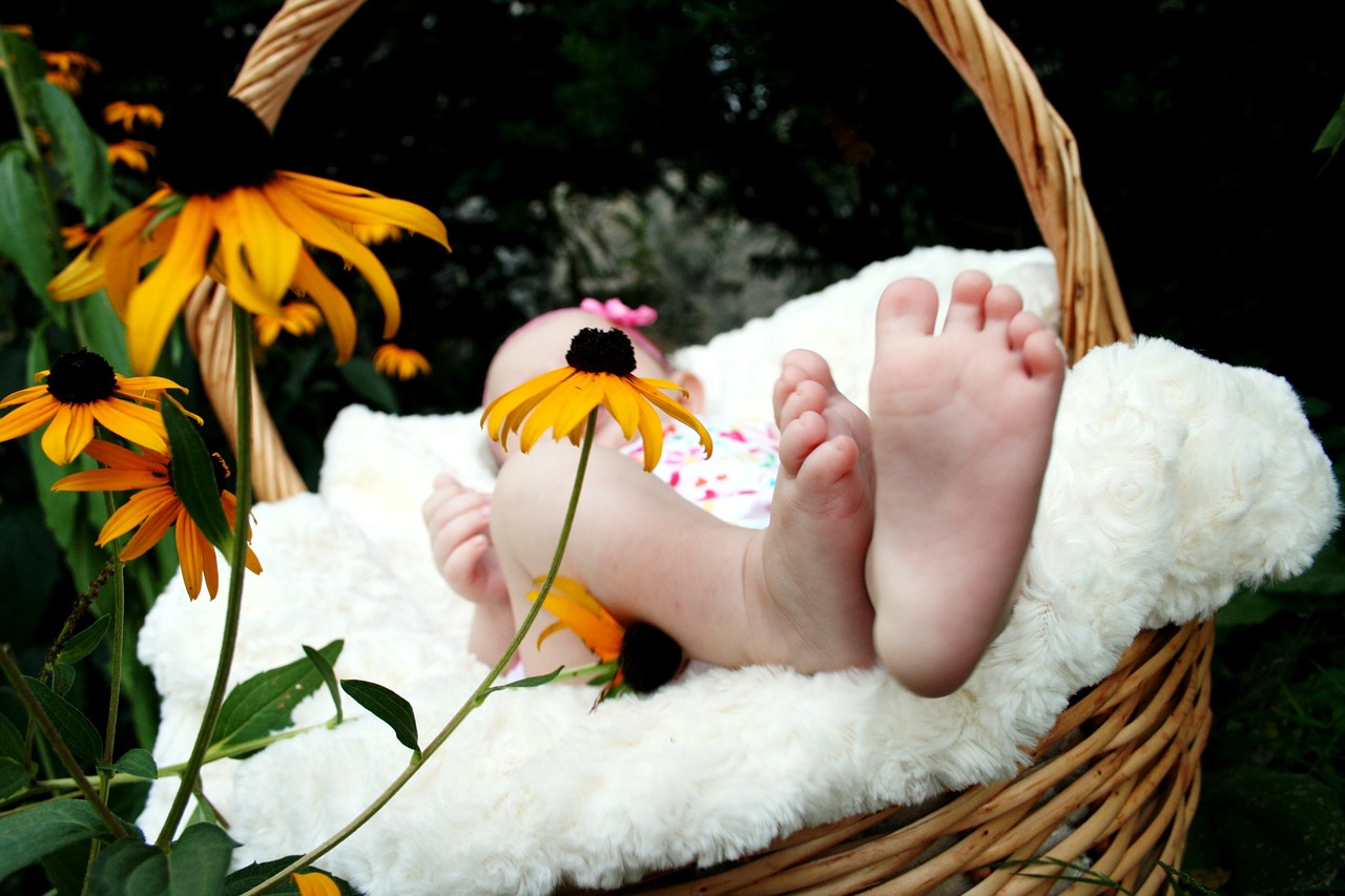 baby feet basket free photo