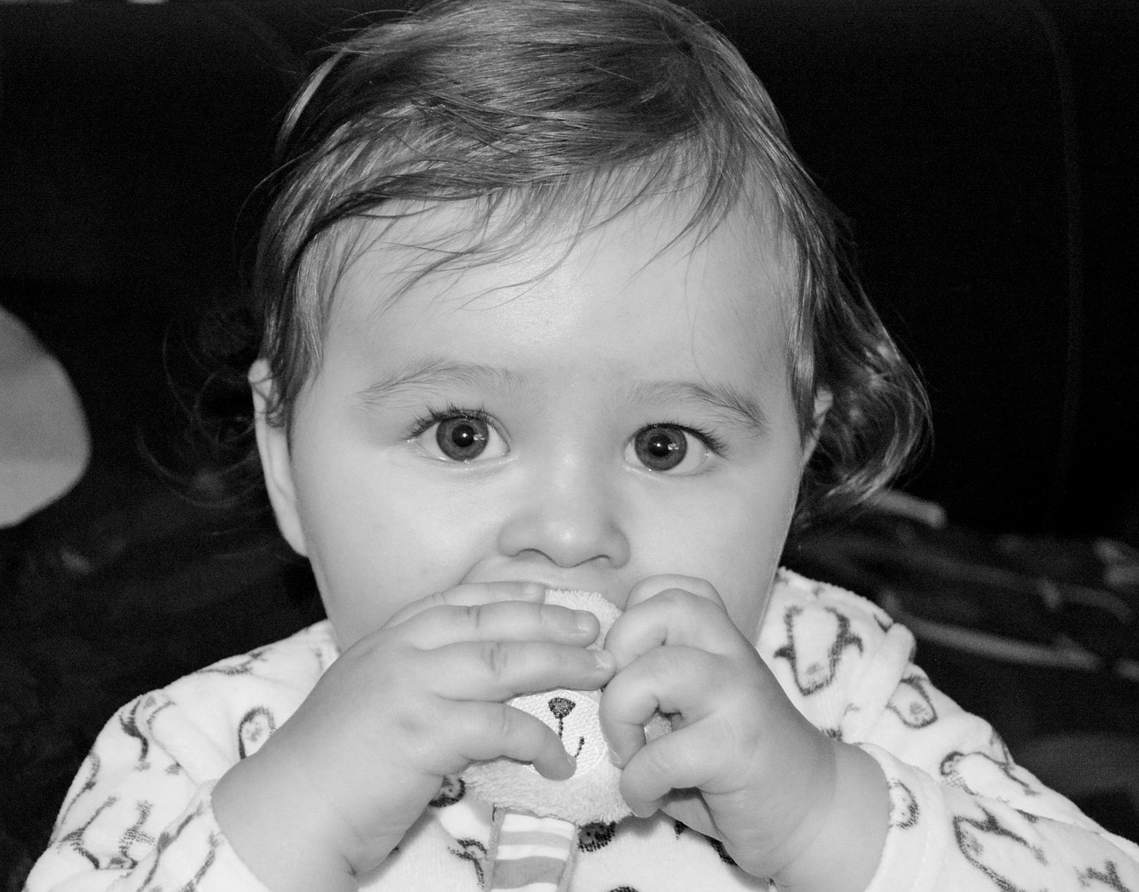 baby black and white portrait free photo