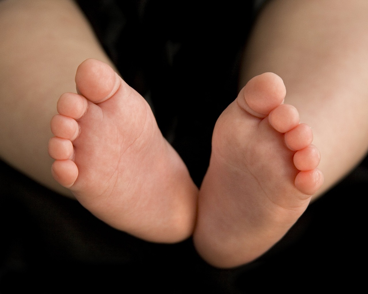 baby feet toes free photo