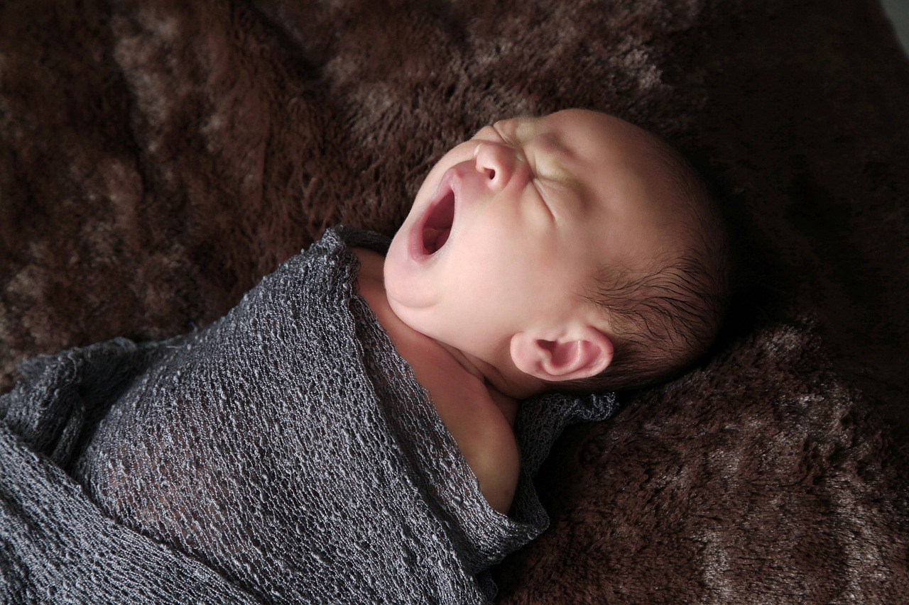 baby newborns portrait free photo