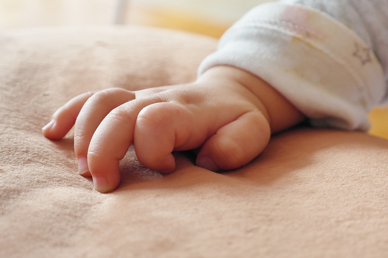 baby hand infant free photo