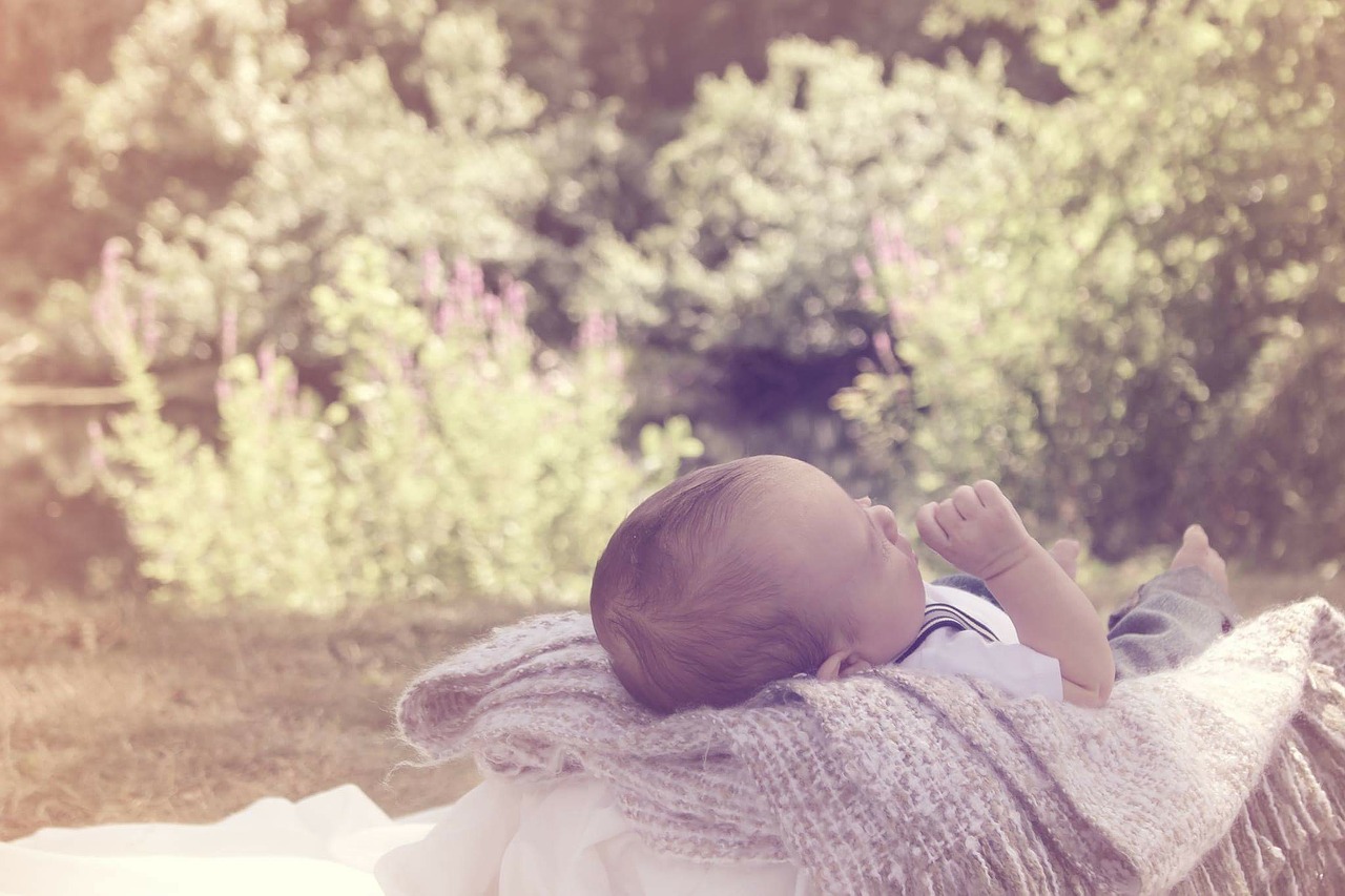 baby field basket free photo