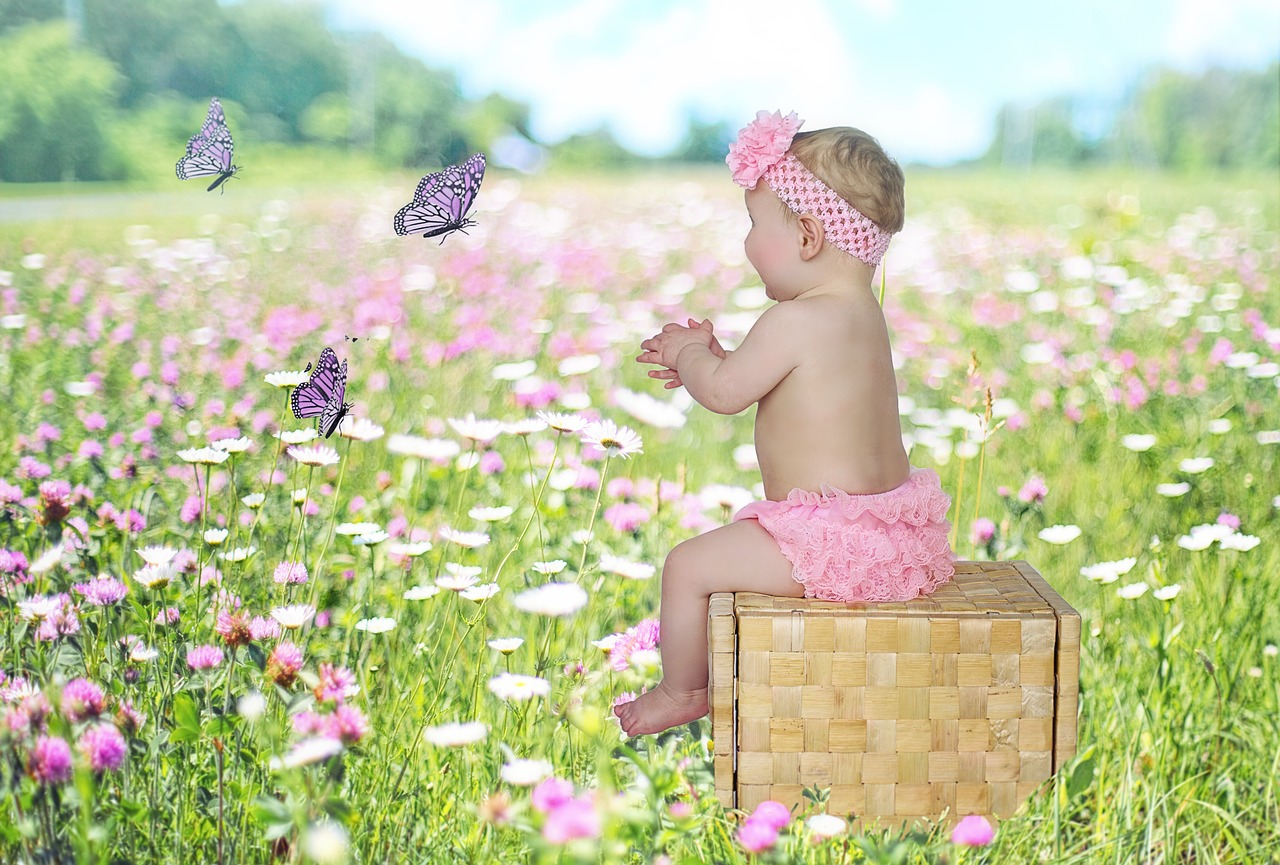 baby  girl  butterflies free photo