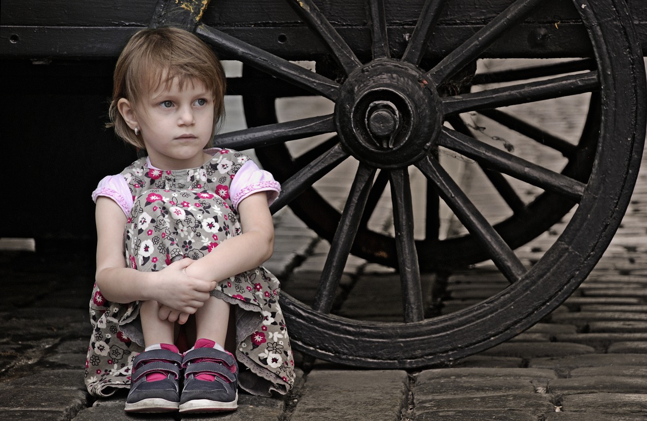 baby  chariot  the little girl free photo