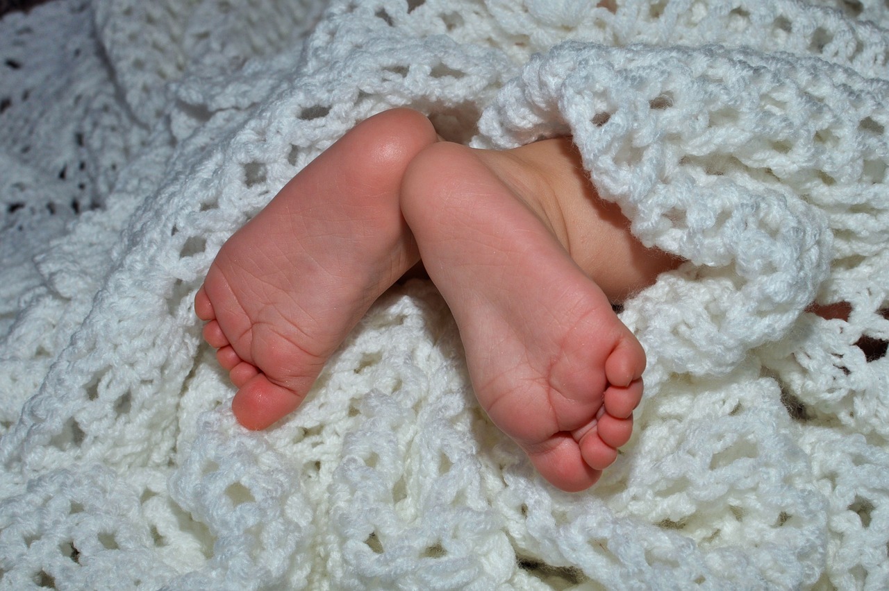 baby  feet  baby feet free photo