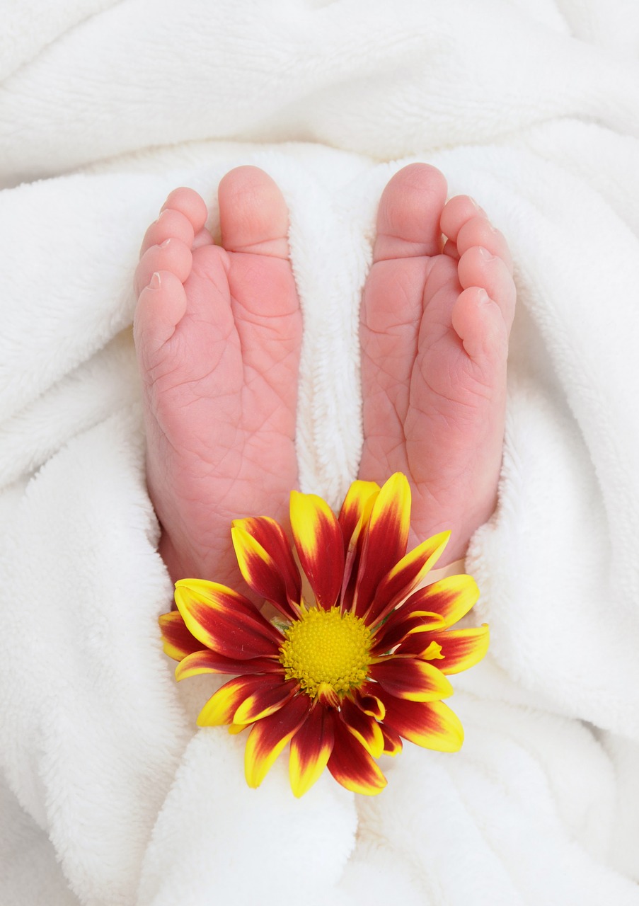 baby  feet  flower free photo