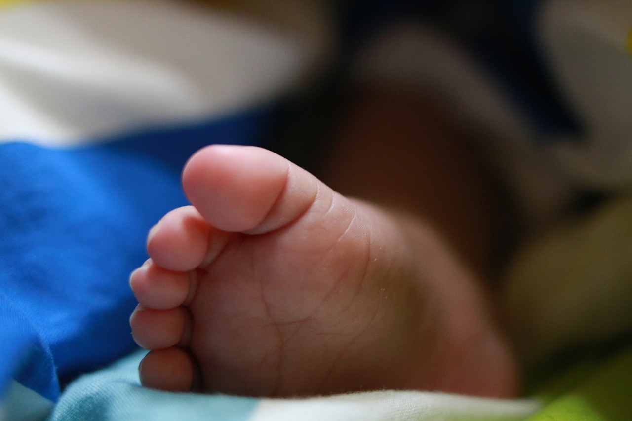 baby  feet  newborn free photo