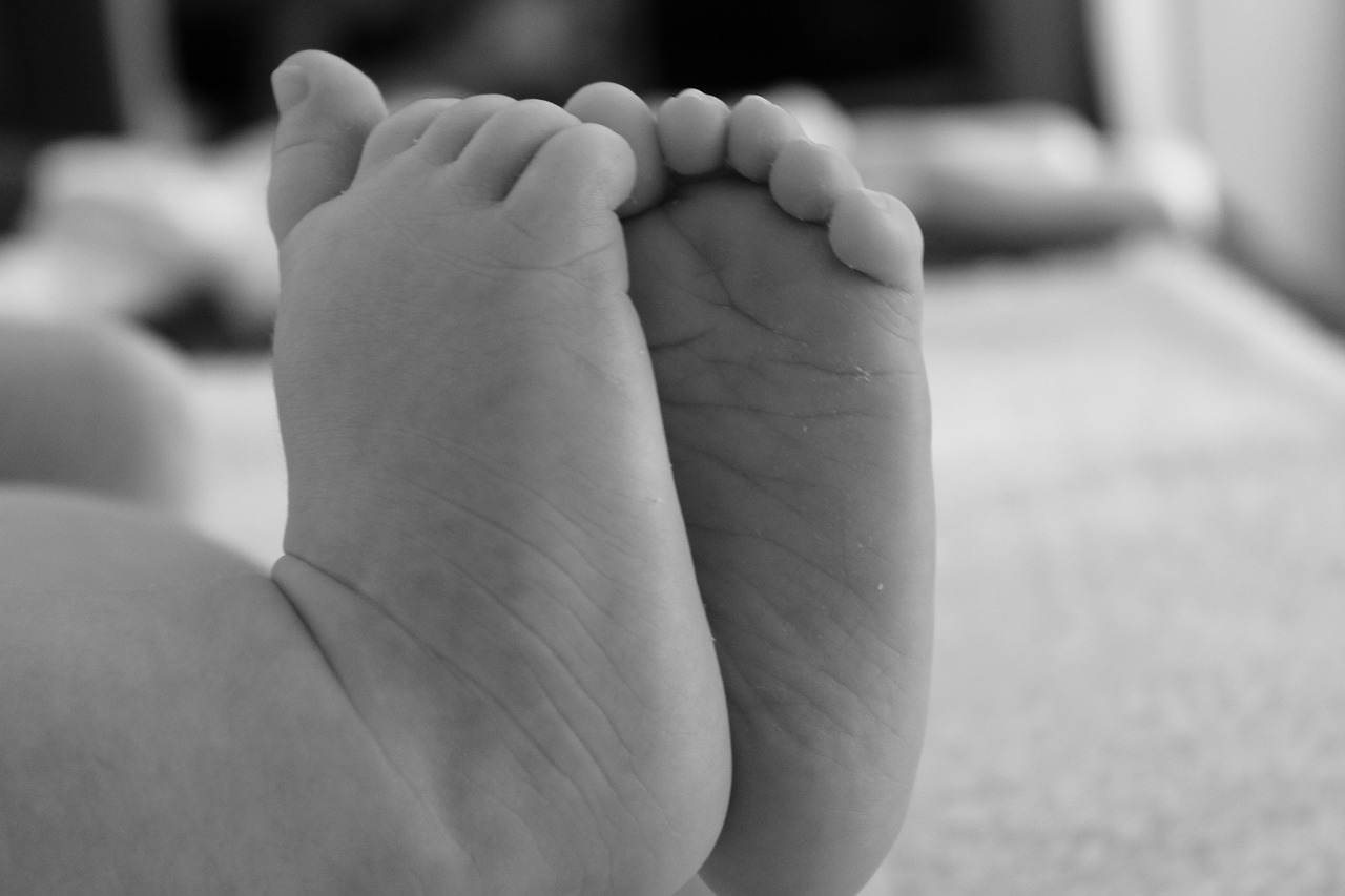 baby  feet  newborn free photo