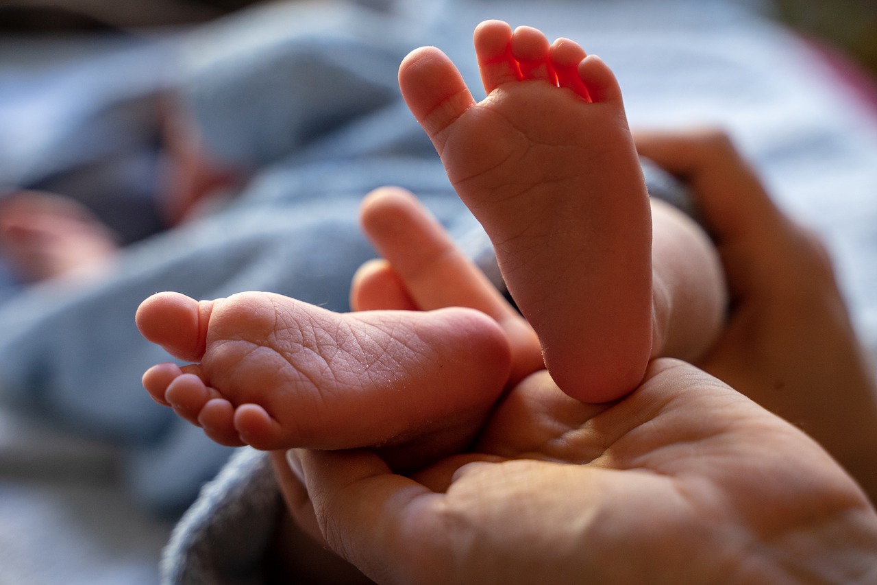 baby  newborn  baby feet free photo