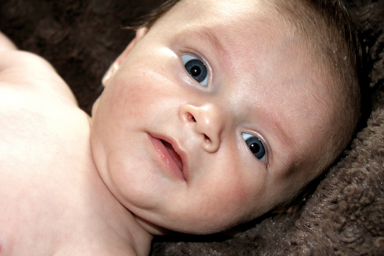 baby newborn face free photo