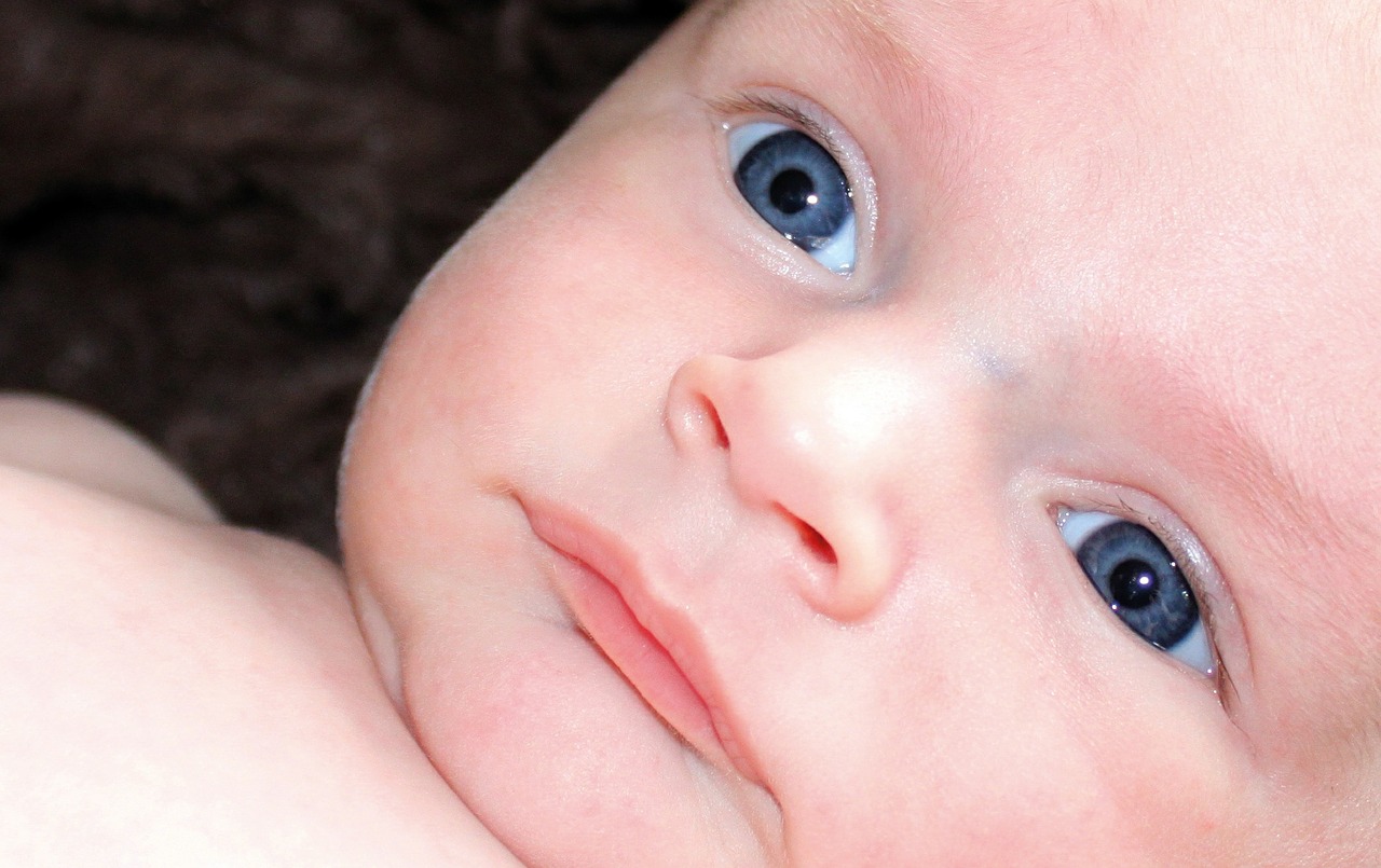 baby eyes newborn free photo