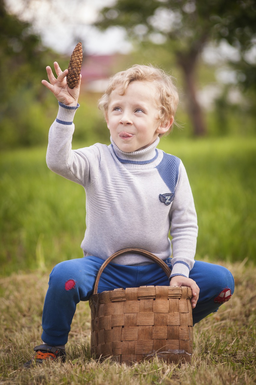 baby  boy  summer free photo