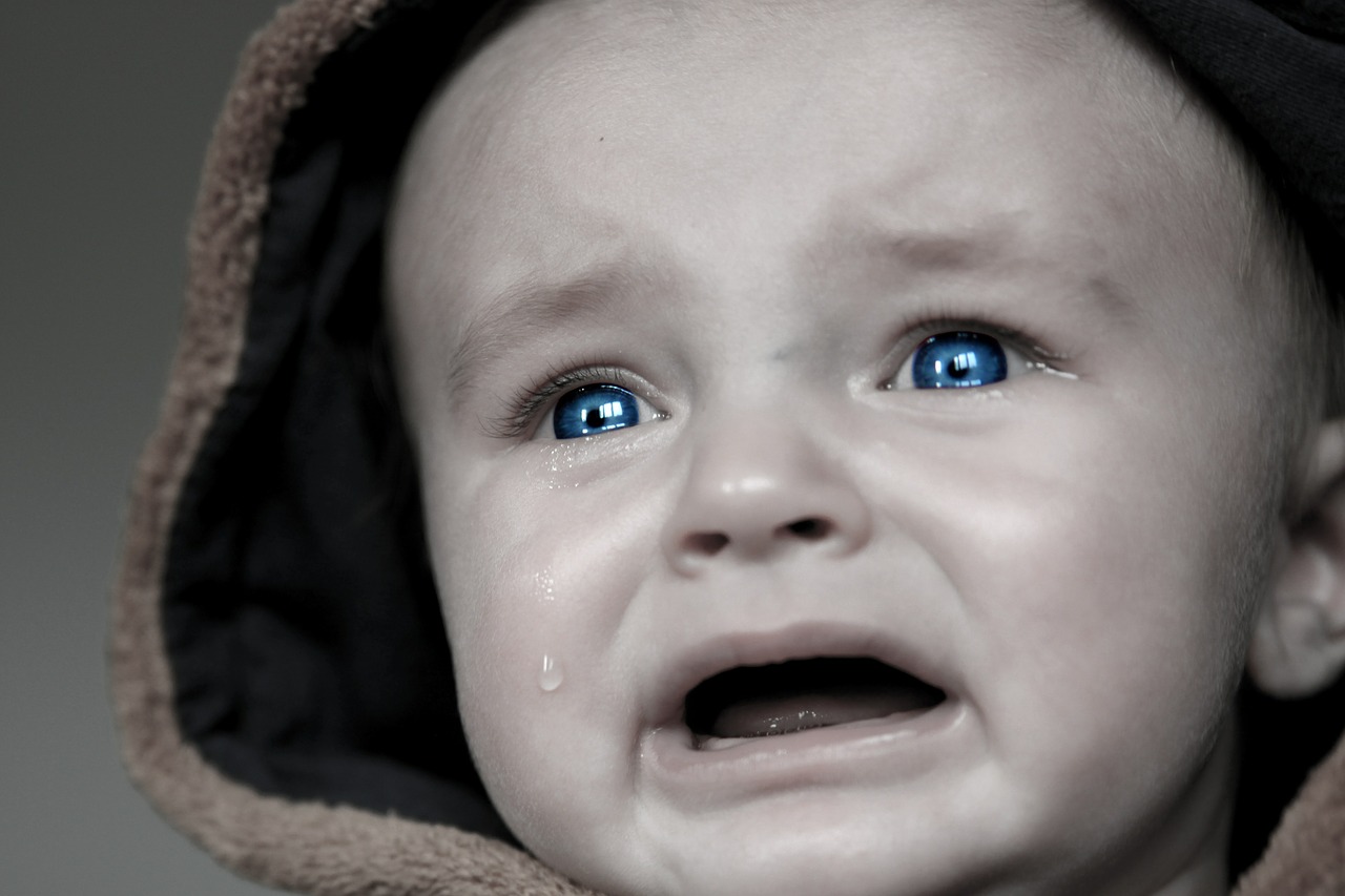 baby tears small child free photo