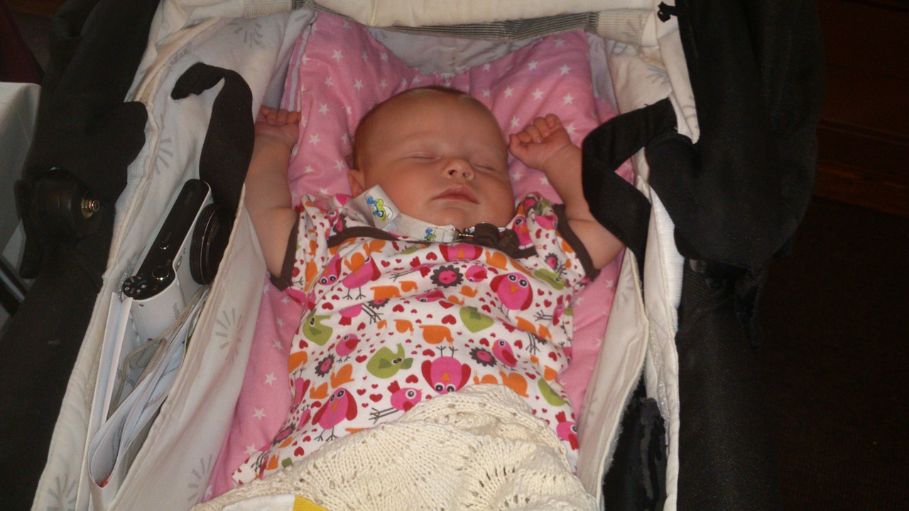 baby stroller newborn free photo