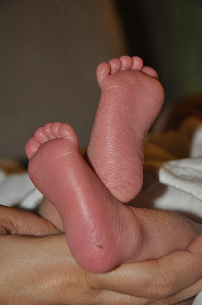 baby little feet cute free photo