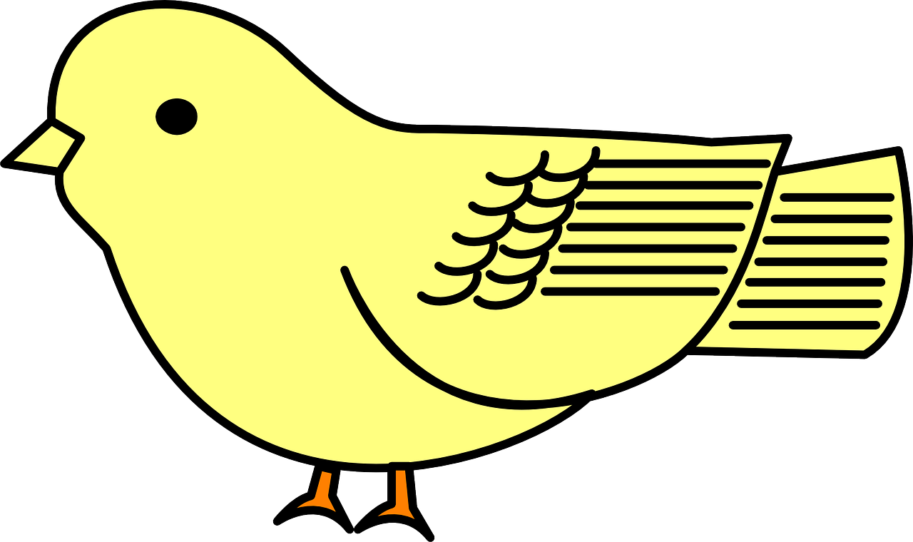 baby,bird,yellow,chick,free vector graphics,free pictures, free photos, free images, royalty free, free illustrations, public domain