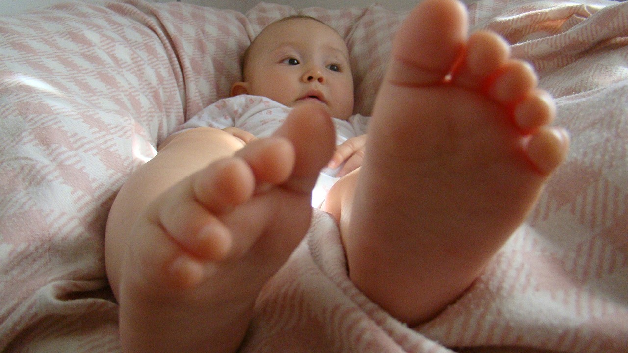 baby feet child free photo