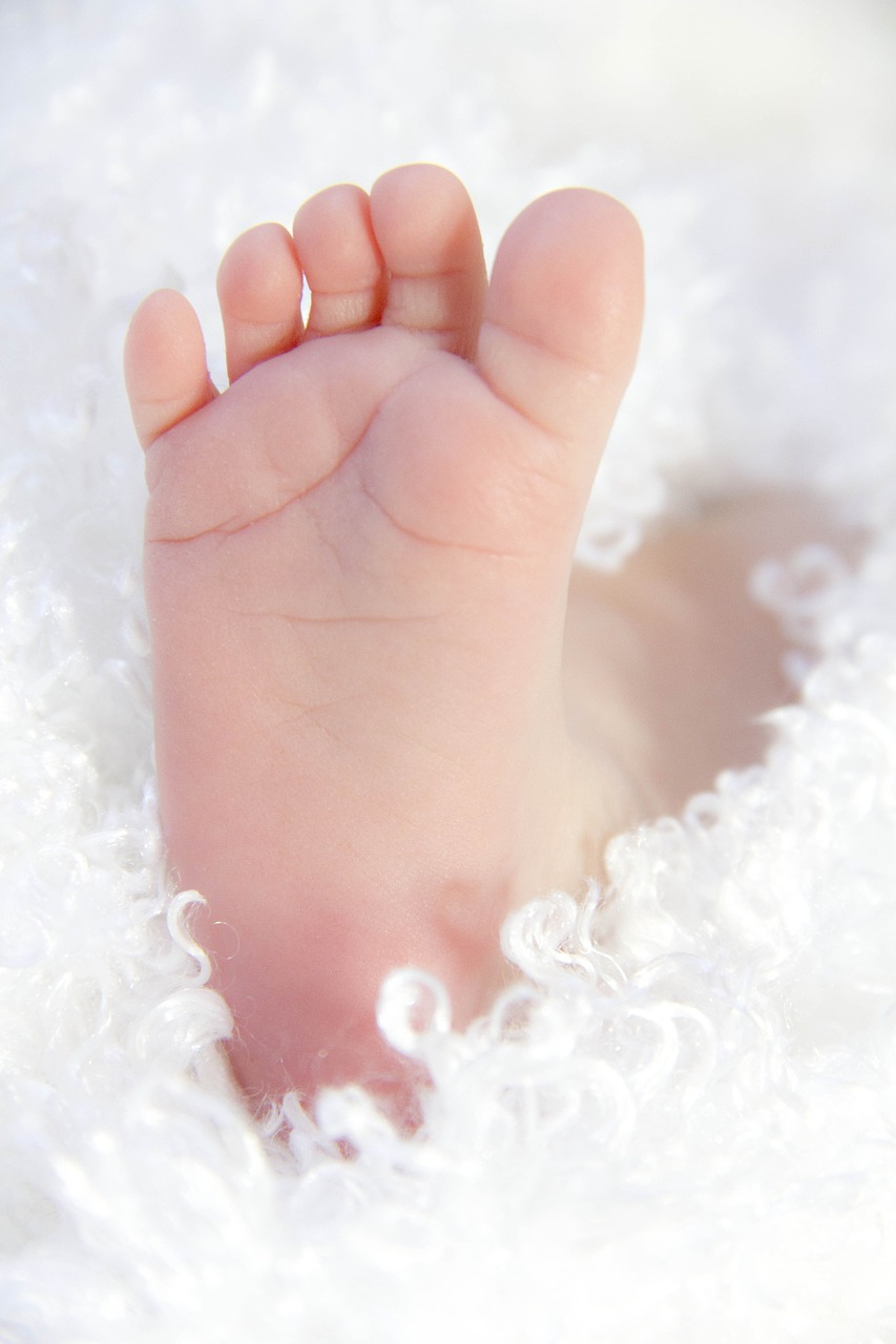 baby foot feet free photo