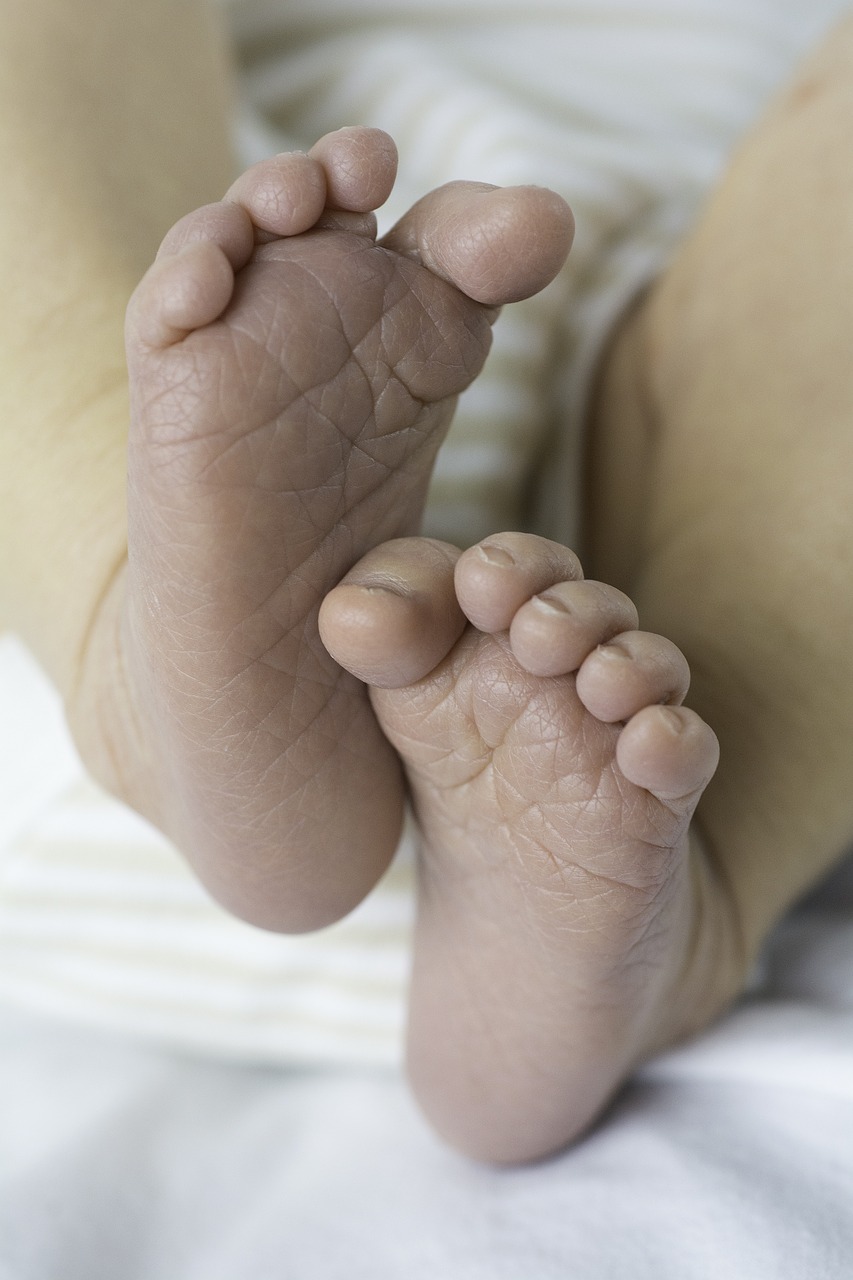 baby feet newborn free photo