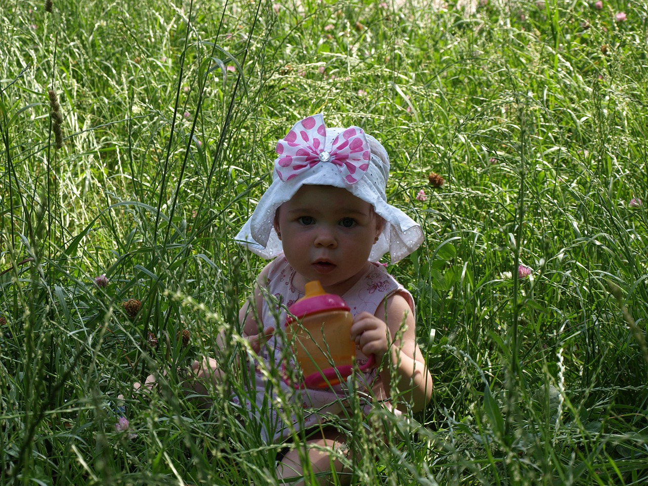 baby girl the little girl free photo