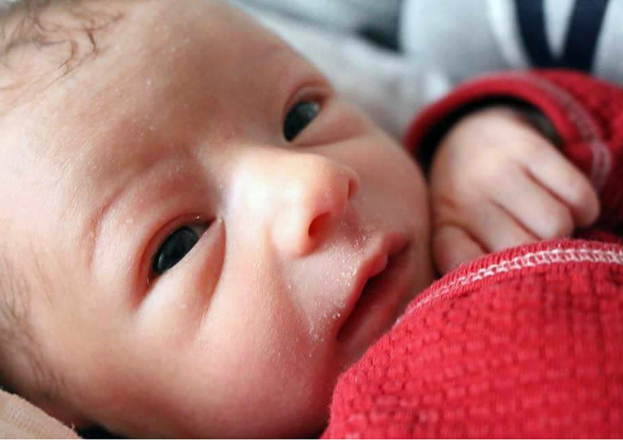 baby newborn face free photo