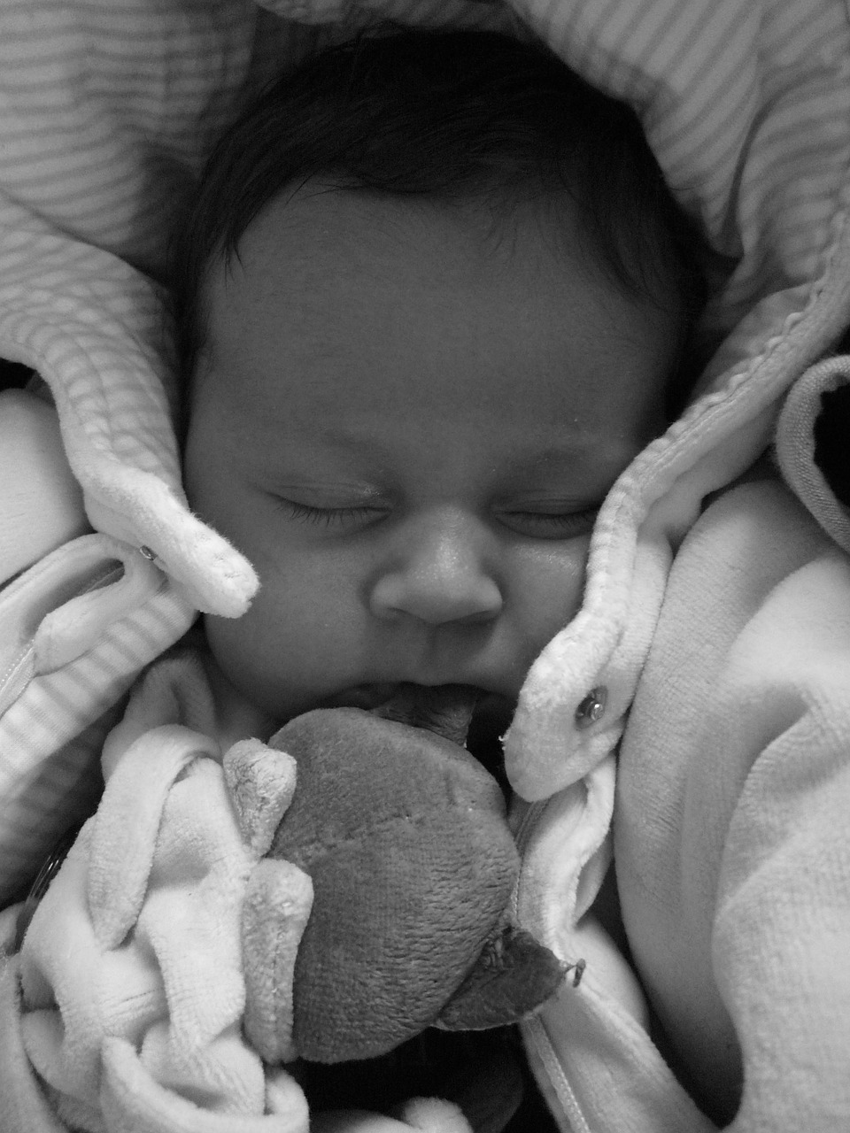 baby child sleep free photo