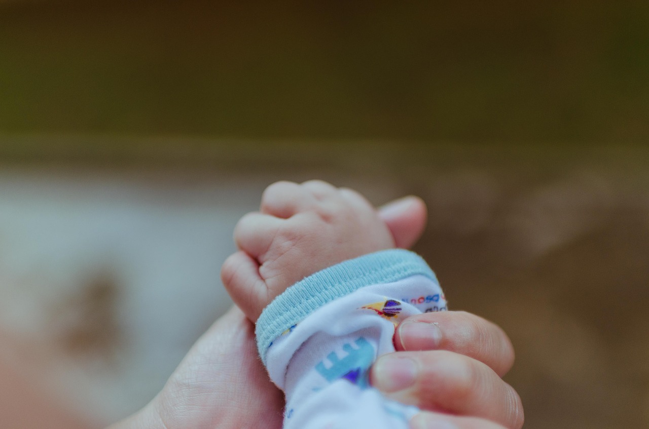 baby hands family free photo