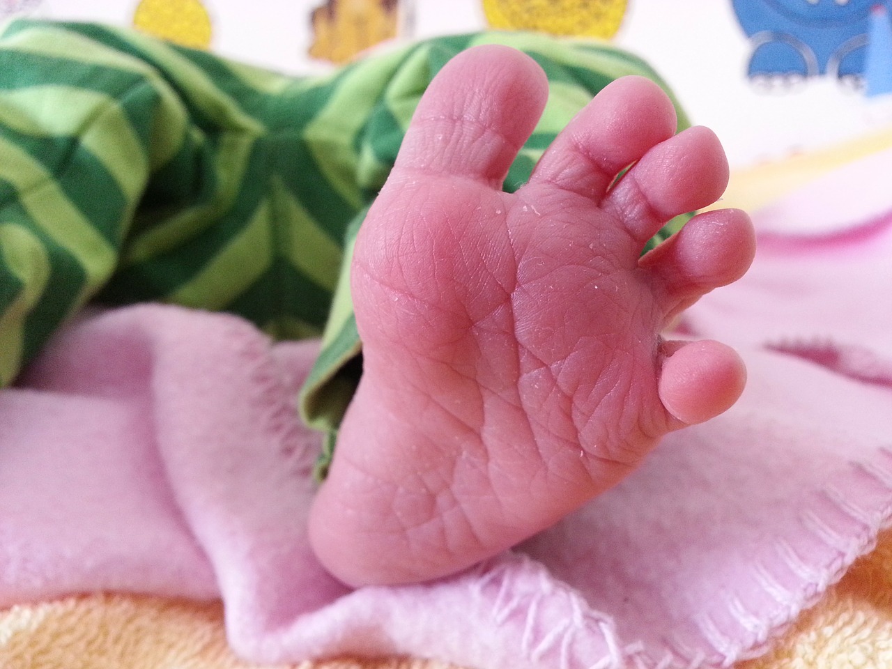 baby foot small child free photo
