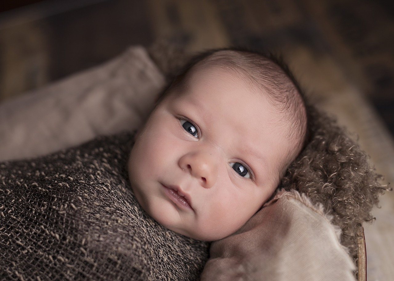 baby face portrait free photo