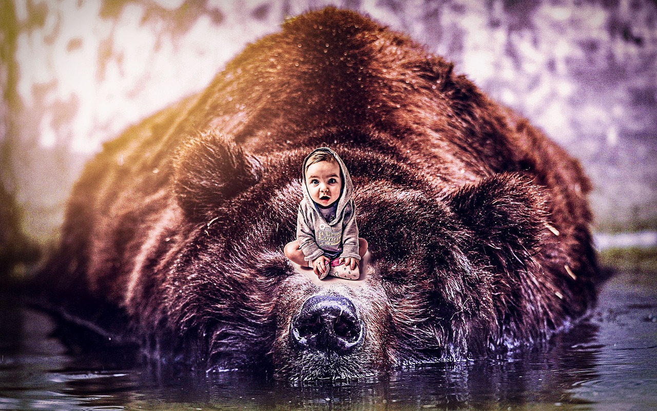 baby and the bear photoshop manipulation color grading free photo