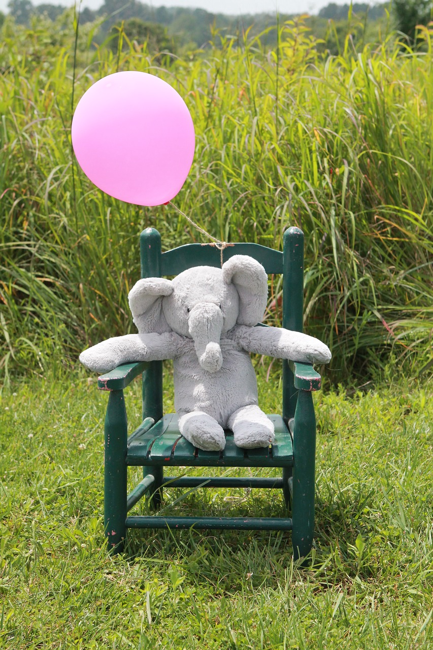 baby announcement new baby elephant free photo