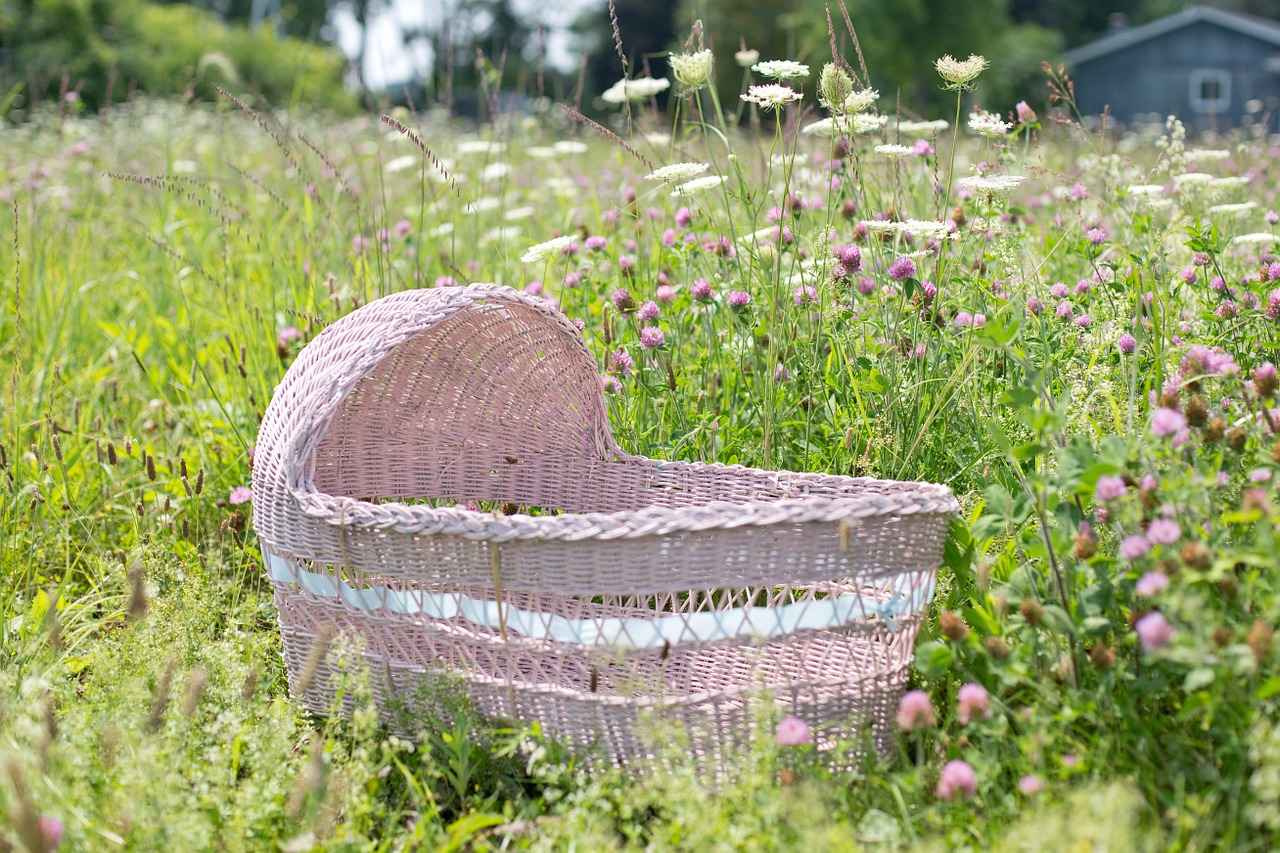 baby bassinet bassinet pink free photo