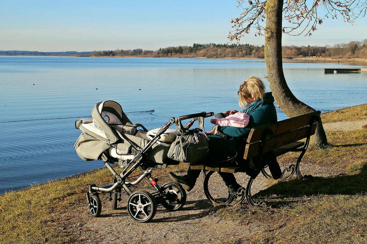 baby carriage nature water free photo