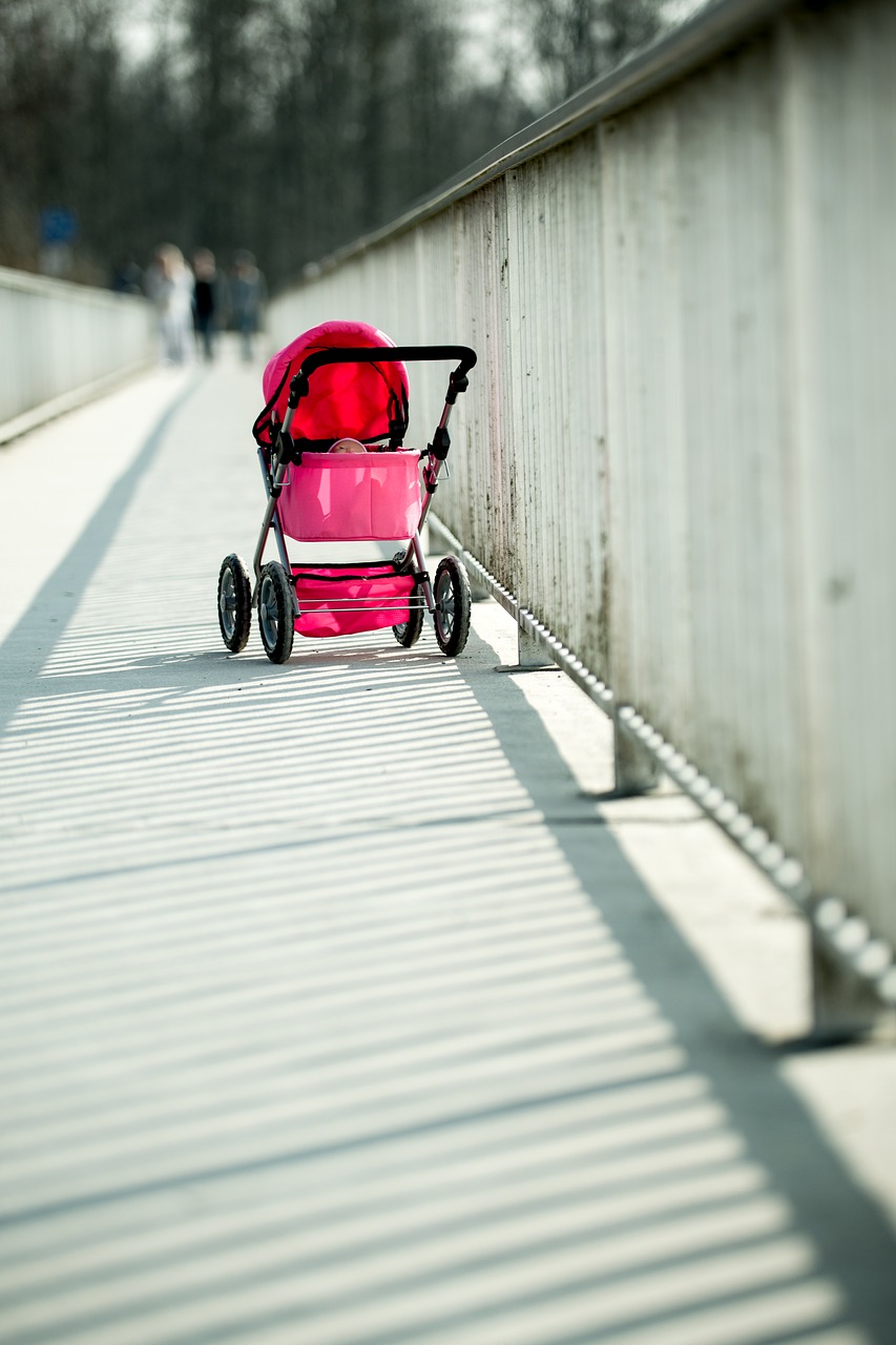 baby carriage  baby car  buddy free photo