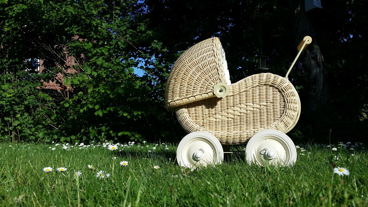 baby carriage doll prams doll free photo