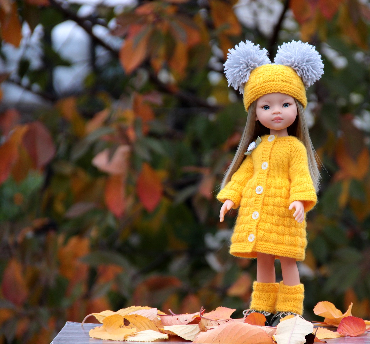 baby doll  autumn  toy free photo