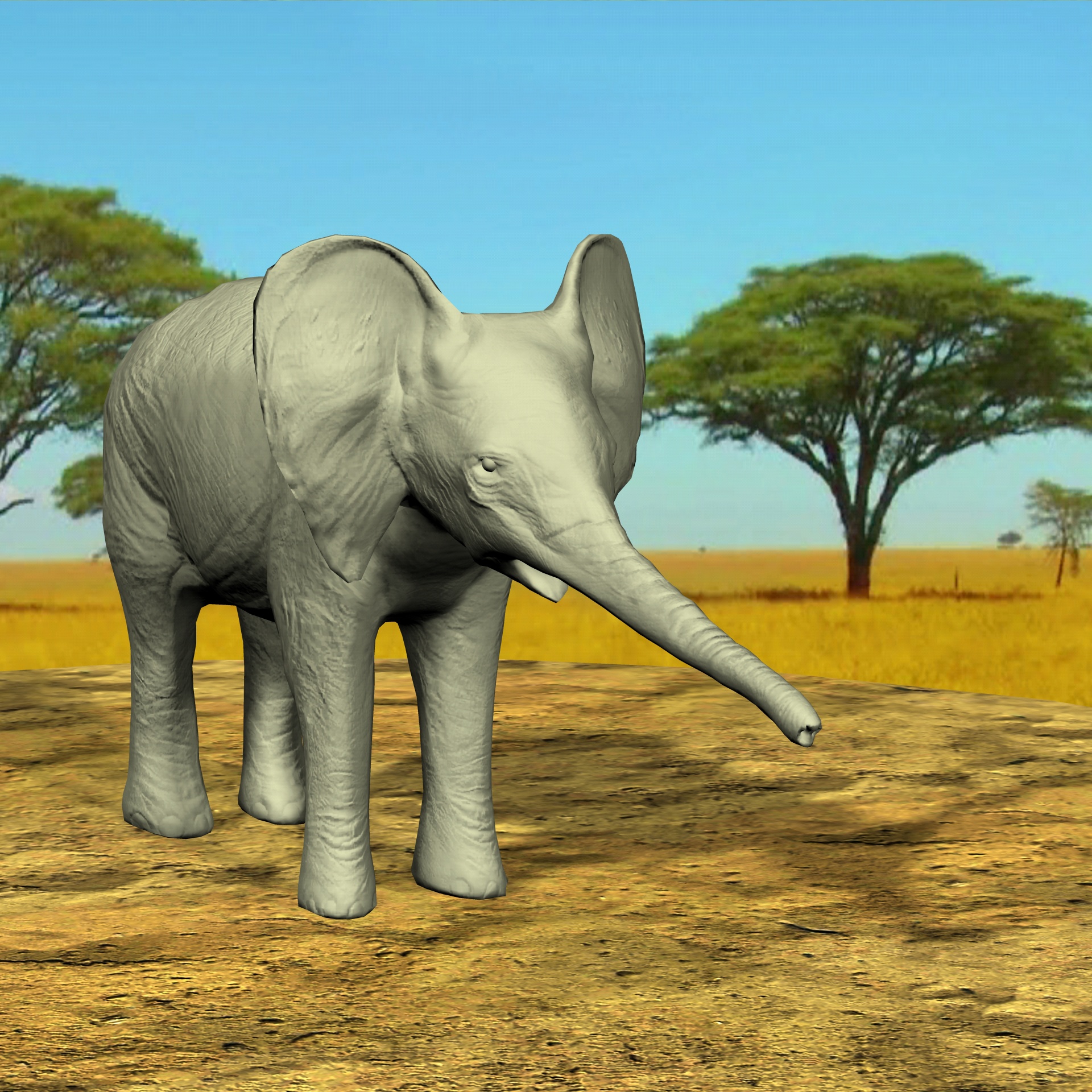 baby elephant 3d free photo