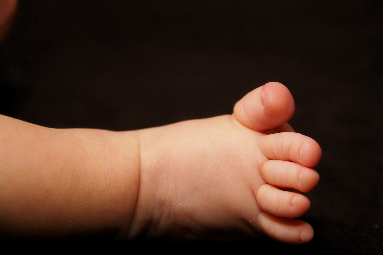 baby feet baby foot free photo