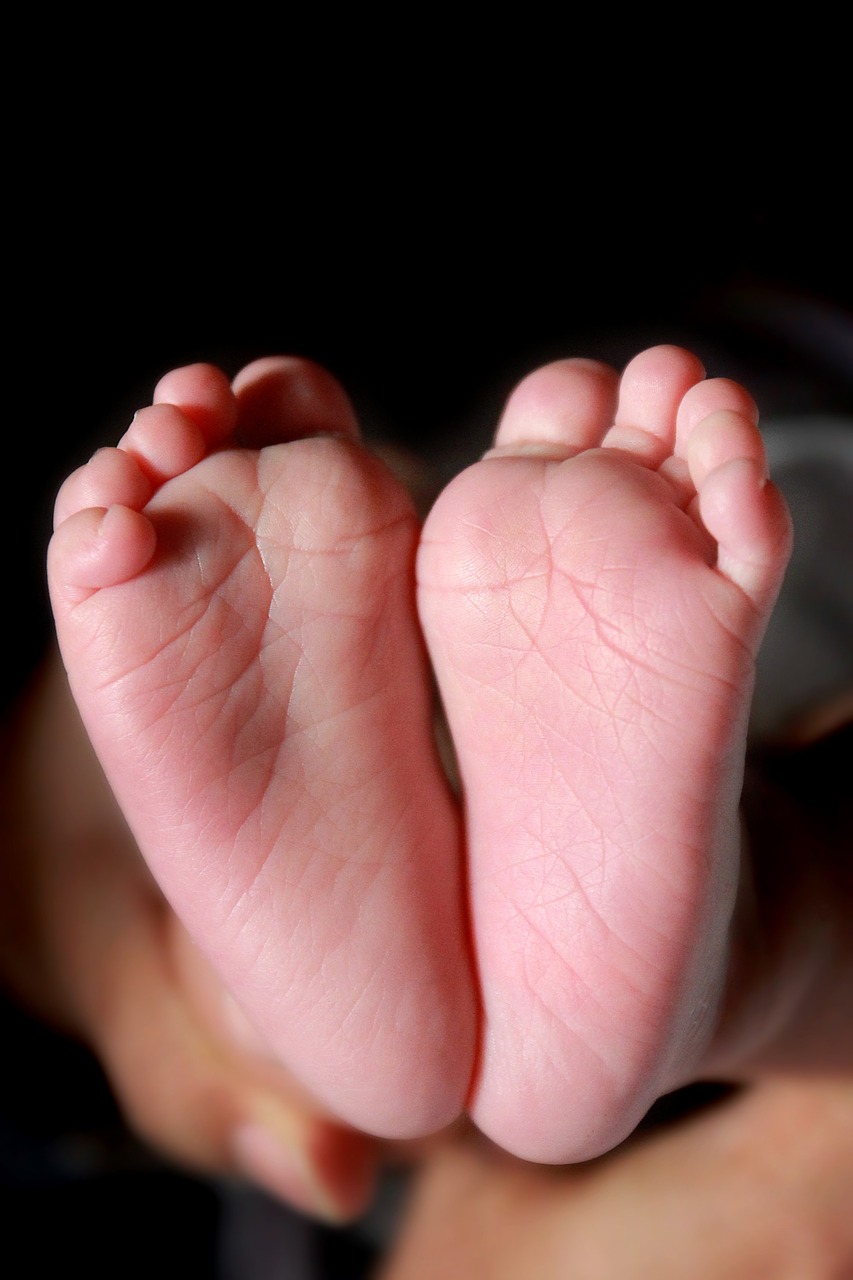 baby feet newborn leg free photo