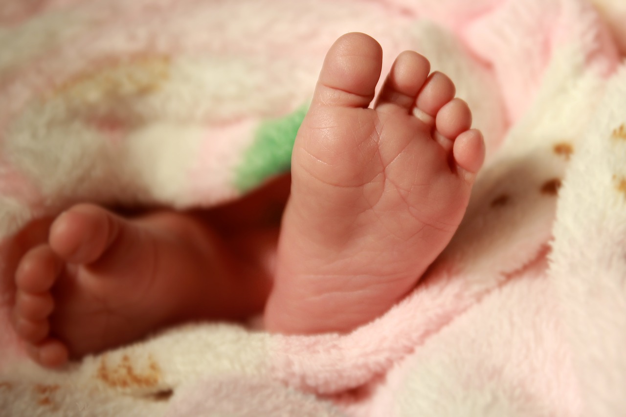 baby feet newborn leg free photo