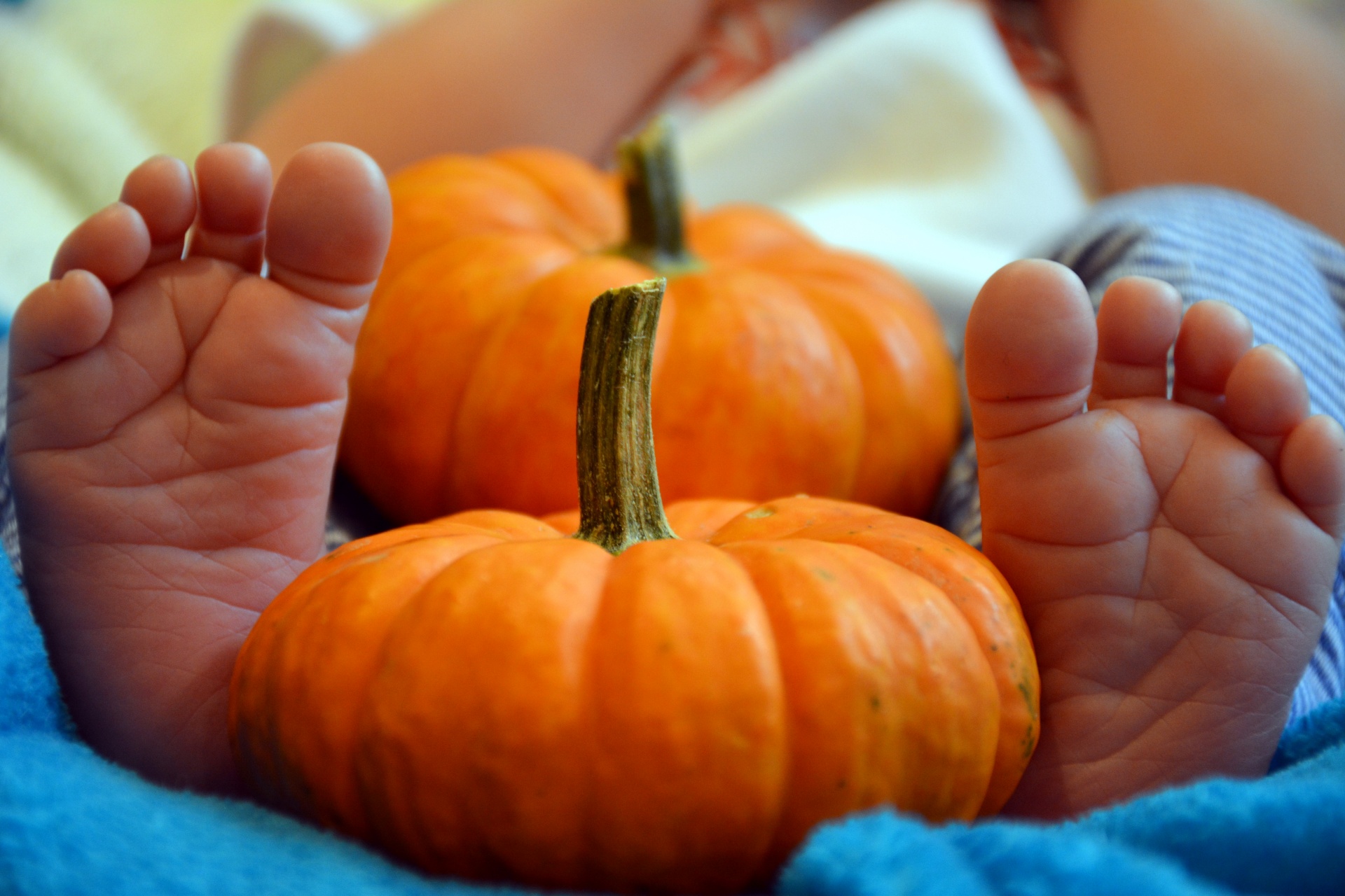 baby infant feet free photo