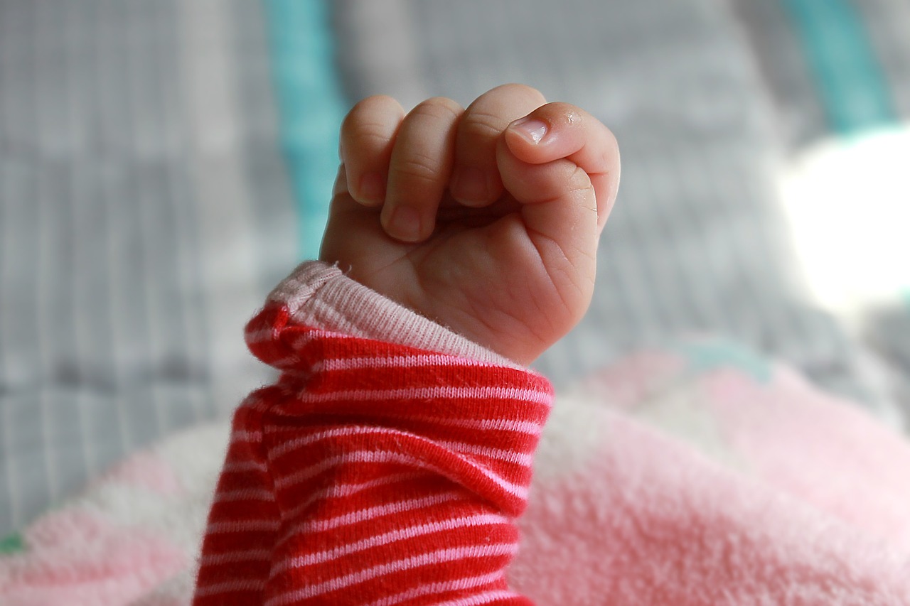 baby fist infant hand free photo