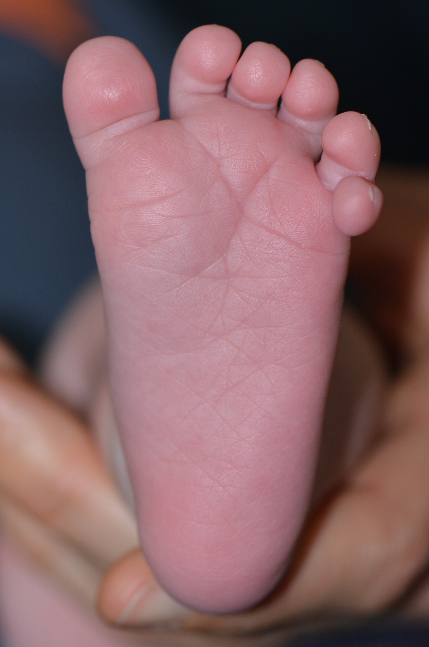 baby foot foot toes free photo