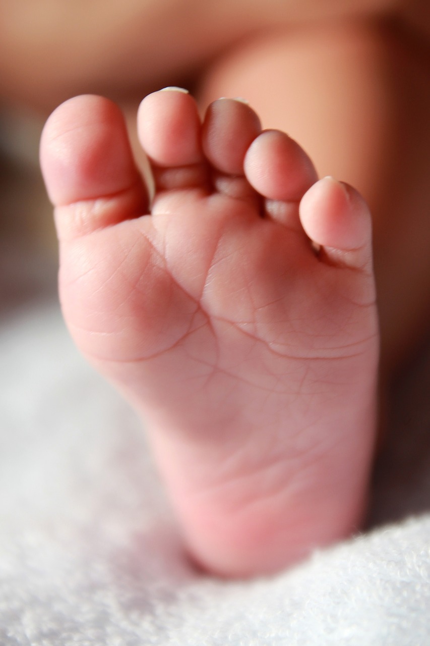 baby foot newborn leg free photo
