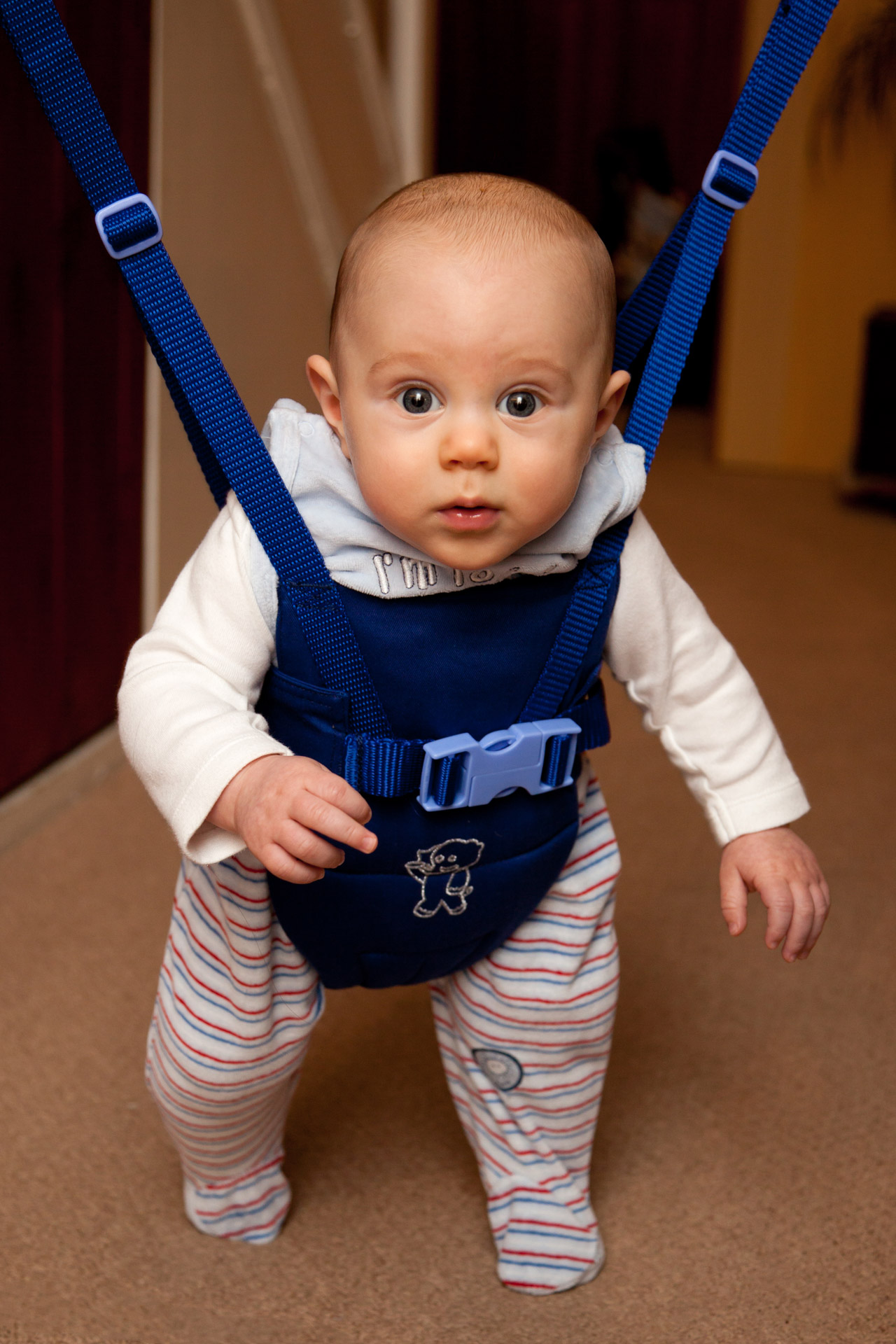 baby bounce bouncer free photo