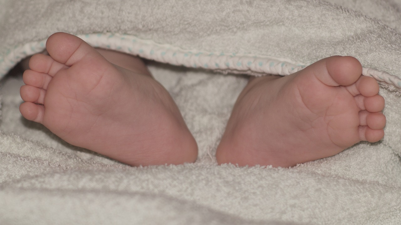 baby legs kid newborn free photo