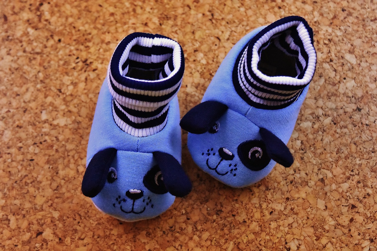 baby shoes boy blue free photo