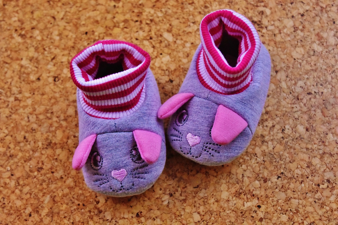 baby shoes girl pink free photo